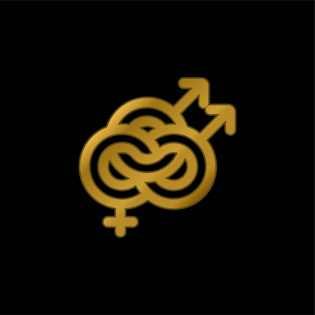 Bisexual gold plated metalic icon or logo vector - Vector, Image