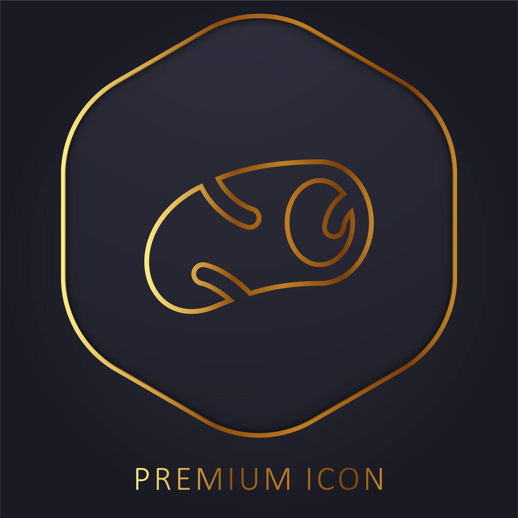 Arterie goldene Linie Premium-Logo oder Symbol - Vektor, Bild