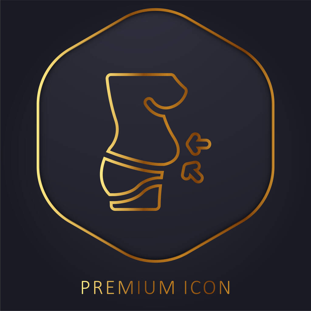 Złota linia brzucha logo premium lub ikona - Wektor, obraz