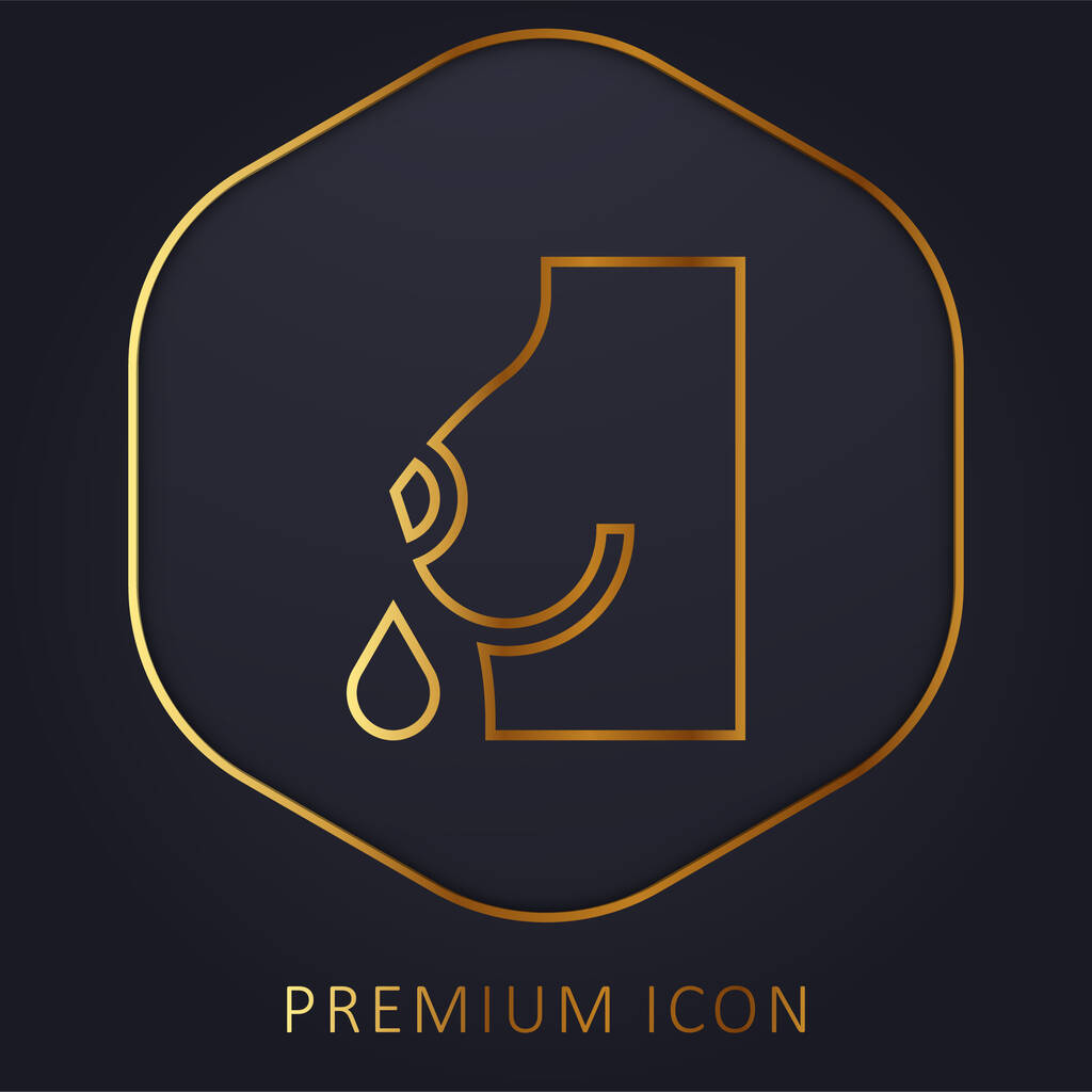 Breastfeeding golden line premium logo or icon - Vector, Image