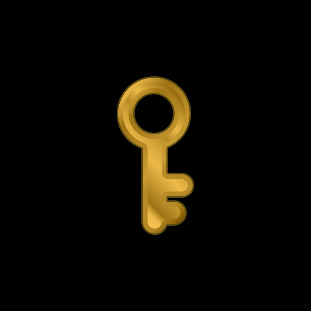 Antique Key gold plated metalic icon or logo vector - Vector, Image