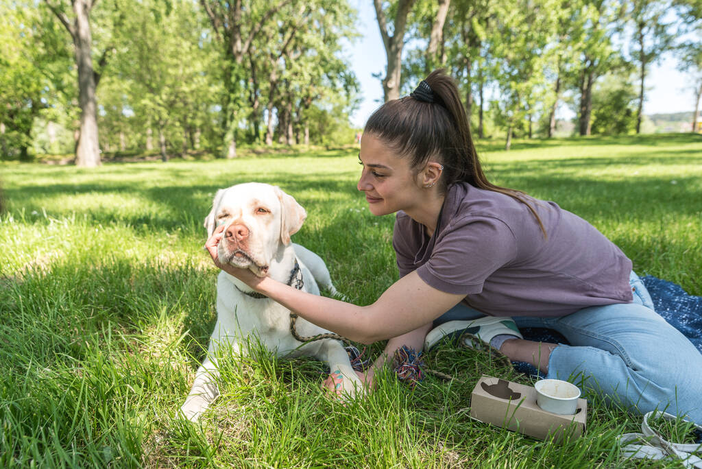 Köpeği Labrador Retriever ile parkta genç bir kadın. - Fotoğraf, Görsel