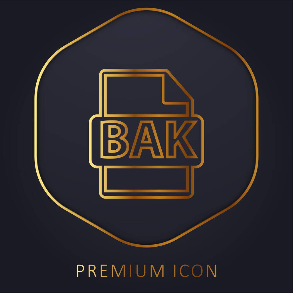 BAK Format de fichier Symbole ligne dorée logo premium ou icône - Vecteur, image