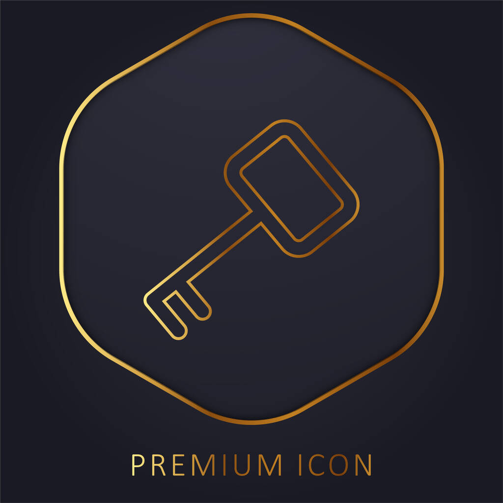 Access Key golden line premium logo or icon - Vector, Image