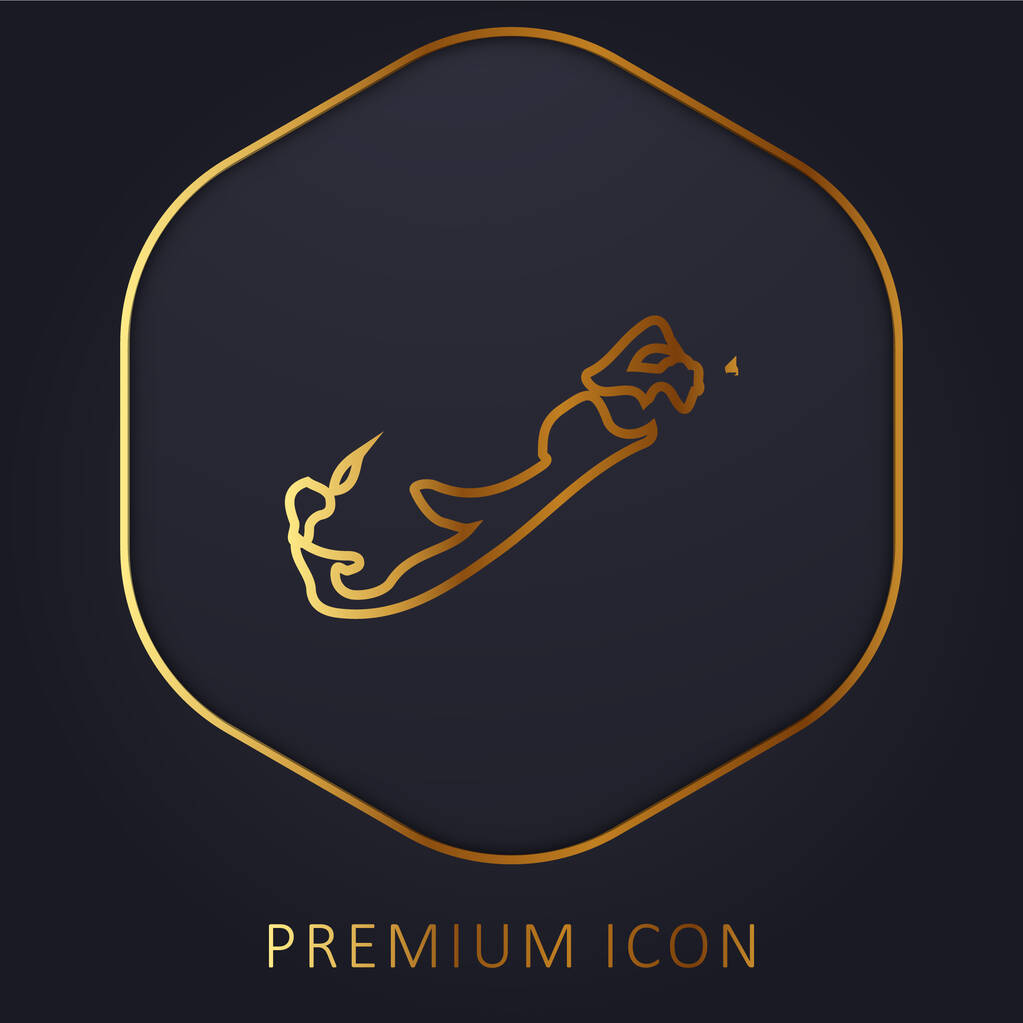 Bermudes ligne d'or logo premium ou icône - Vecteur, image
