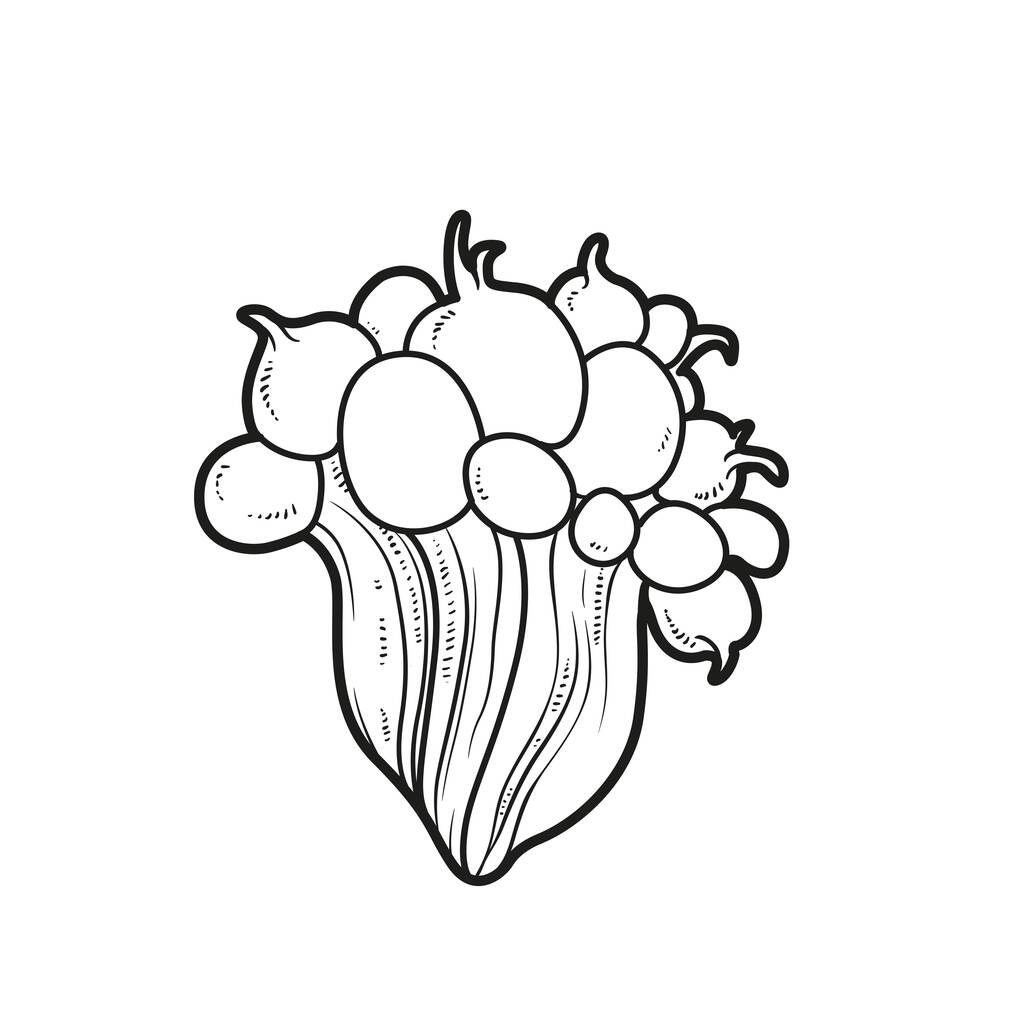 Tengeri anemones színező könyv lineáris rajz elszigetelt fehér háttér - Vektor, kép
