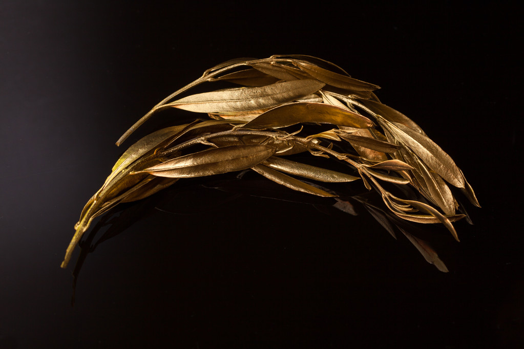 Оливковий вінок ( Котінос
) - Фото, зображення