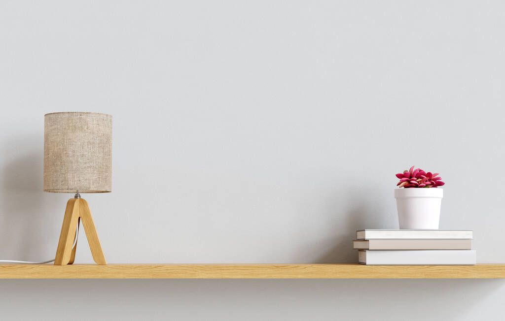 Лампа, книги и сочное растение на полке перед пустым макетом стены. 3D визуализация. 3D иллюстрация. - Фото, изображение