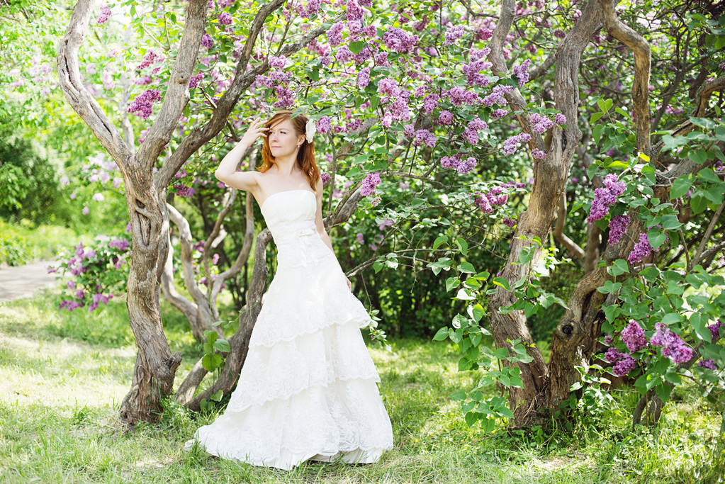 tavasszal virágzik a gyönyörű menyasszony - Fotó, kép