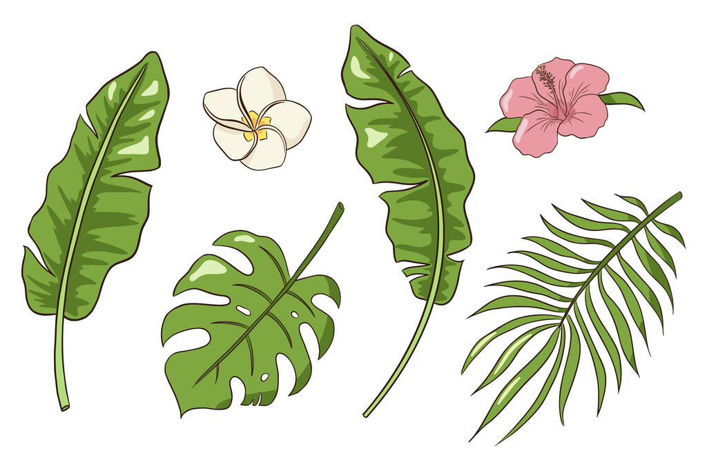 Hand Drawn Tropical Flowers and Leaves Vector Isolated Elements Collection - Vector, Image