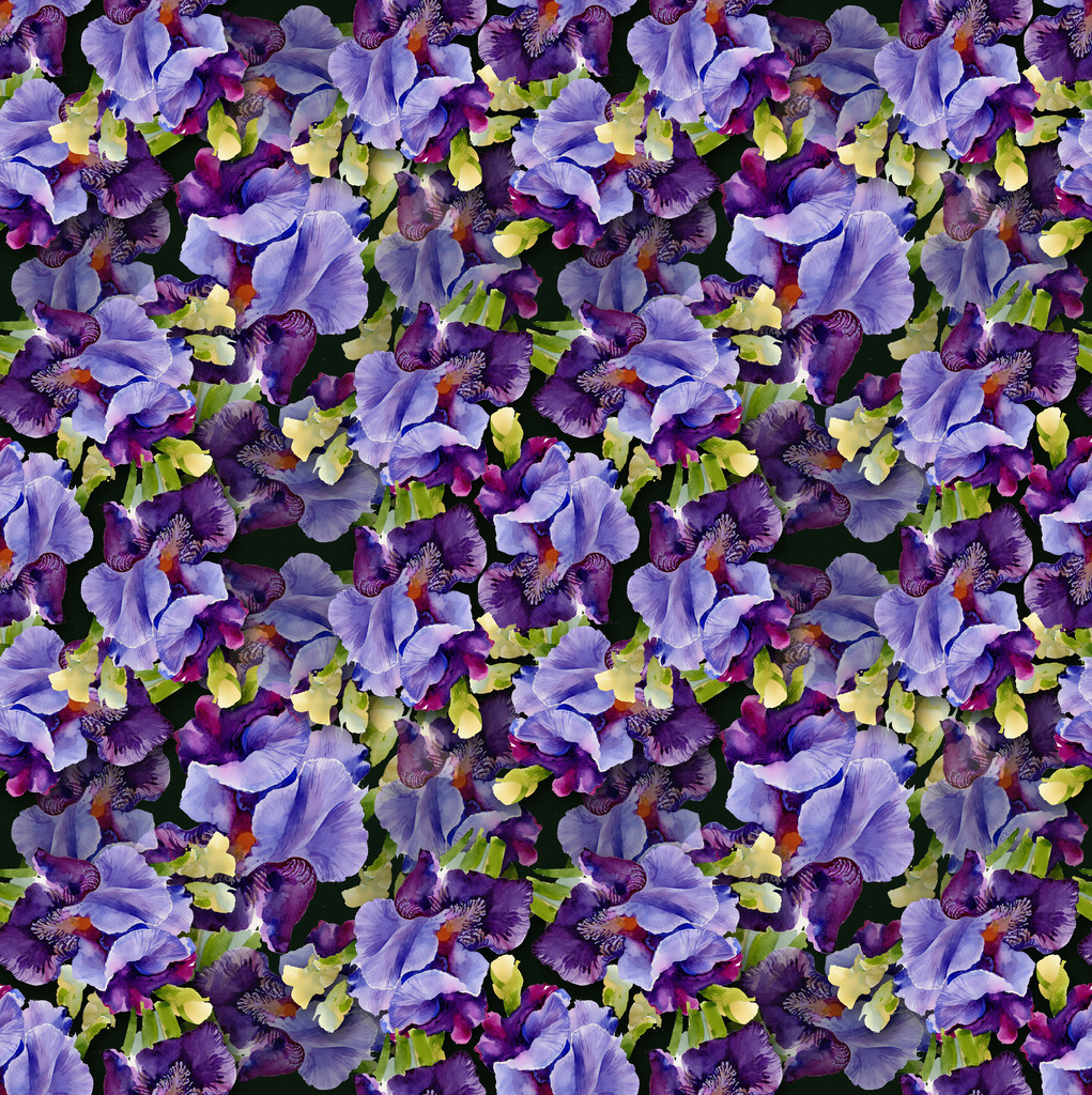 Iris-Muster - Foto, Bild