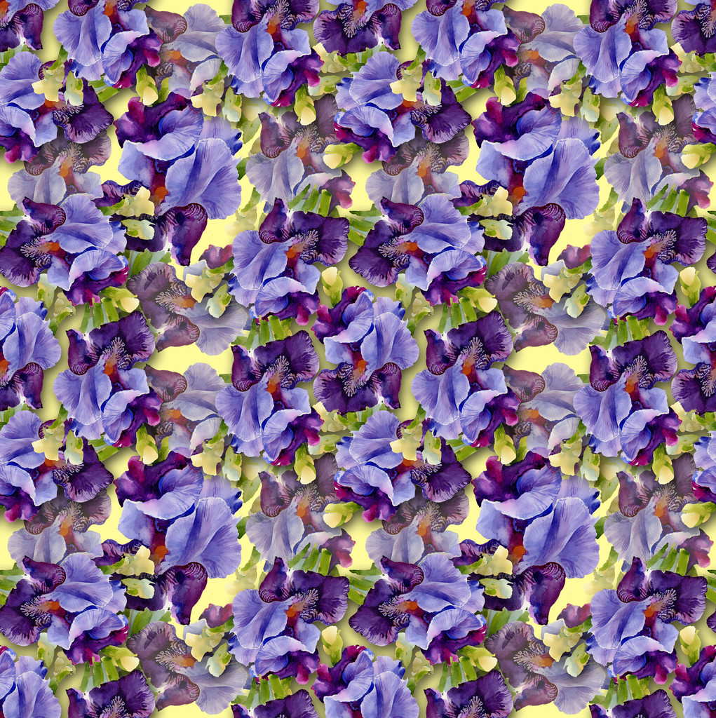 Patrón de iris
 - Foto, Imagen