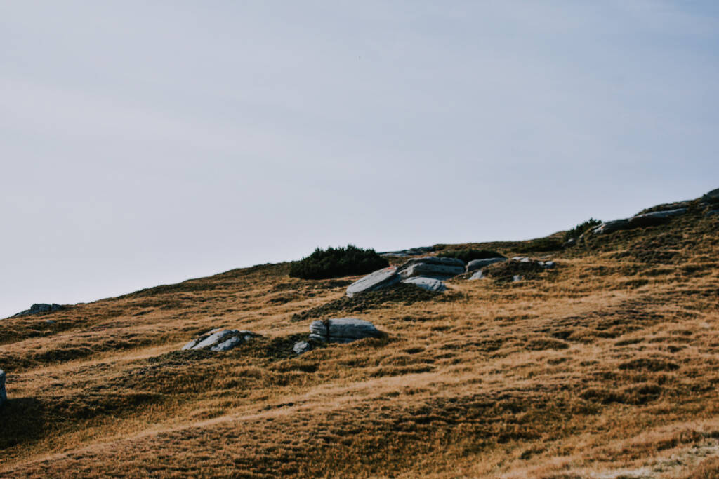 Ein schöner Blick auf Felsen auf einem braunen Hügel unter klarem Himmel - Foto, Bild