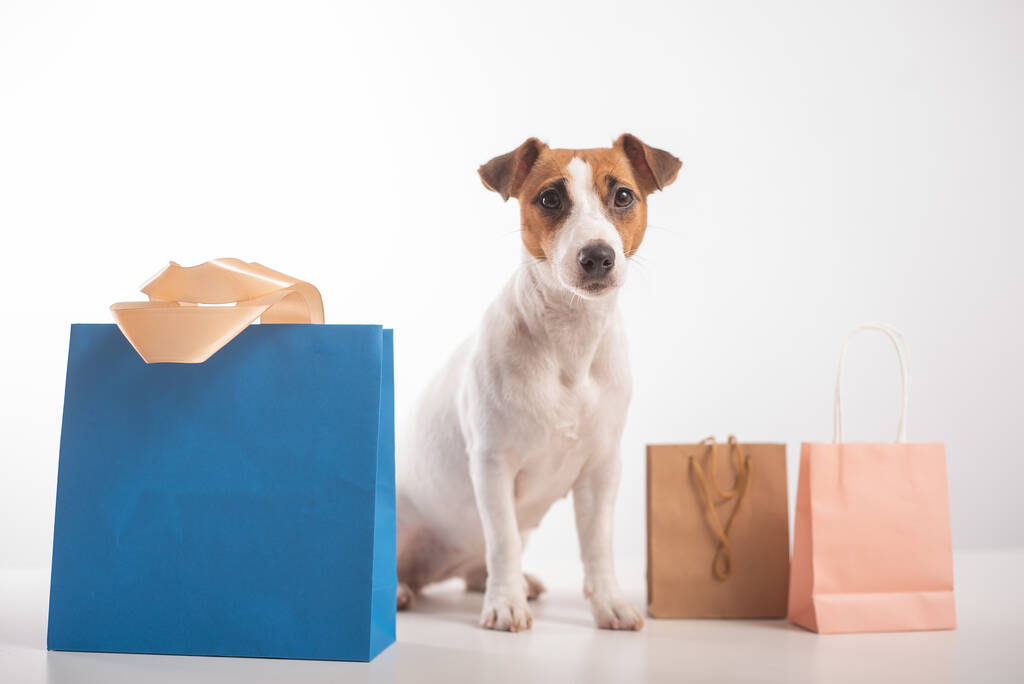 Hundesalon. Jack Russell Terrier und verschiedene Papiertüten auf weißem Hintergrund - Foto, Bild