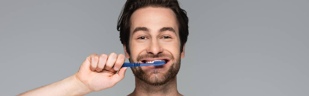 homem feliz e barbudo escovando dentes isolados em cinza, banner - Foto, Imagem