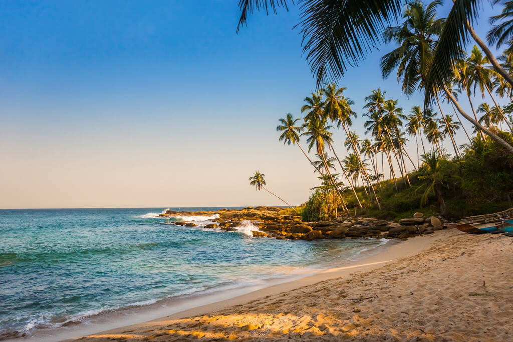 Villi ranta illalla. Intian valtameren rannikko, Sri Lanka. - Valokuva, kuva