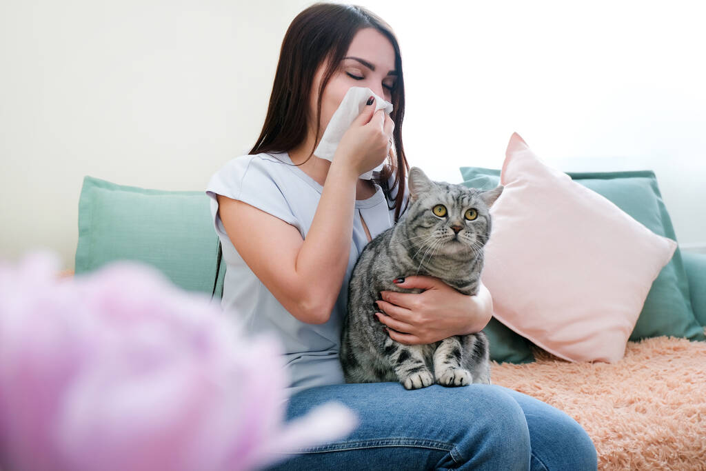 young woman is sneezing from fur allergy on the sofa and playing with her cat. - Photo, Image