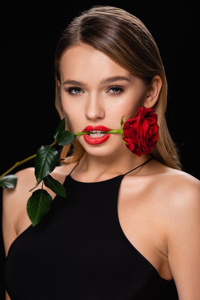 соблазнительная женщина, держащая красную розу с зубами, изолированными на черном - Фото, изображение