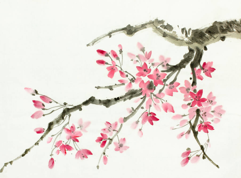 tak van bloeiende sakura op een lichte achtergrond - Foto, afbeelding