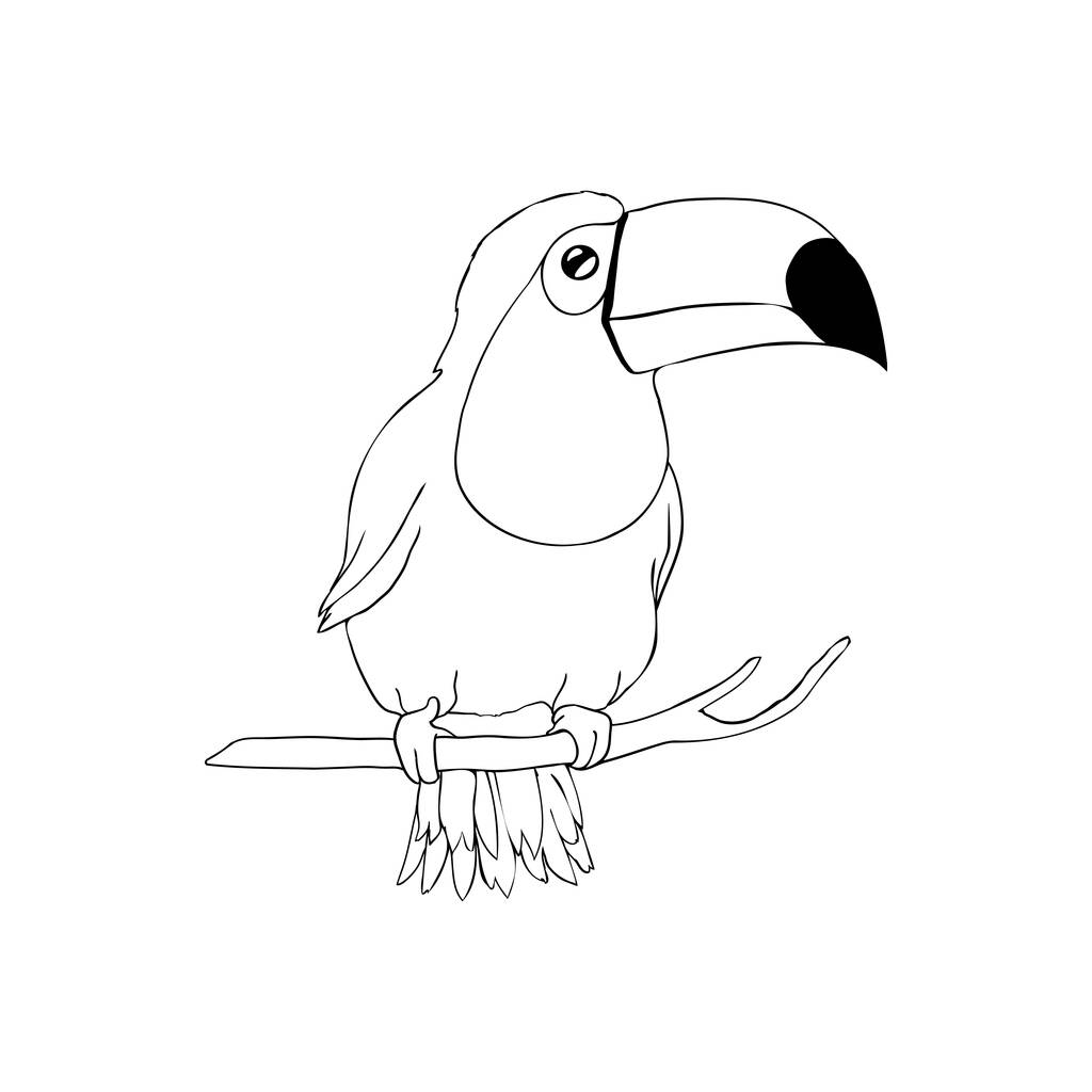 Schizzo dell'uccello del tucano. Illustrazione nera su sfondo bianco. Vettore, illustrazione. - Vettoriali, immagini