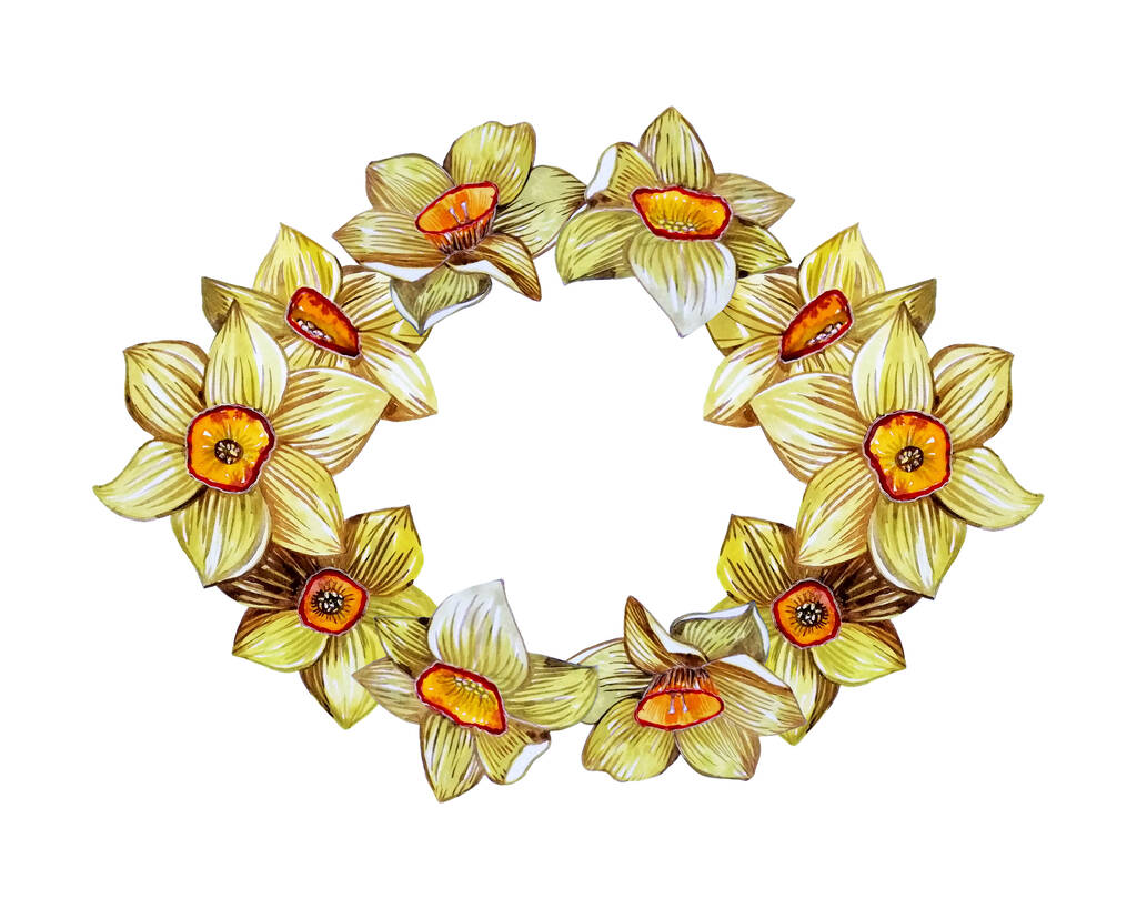 Manojo de narcisos de primavera amarillos sobre fondo blanco - Foto, Imagen