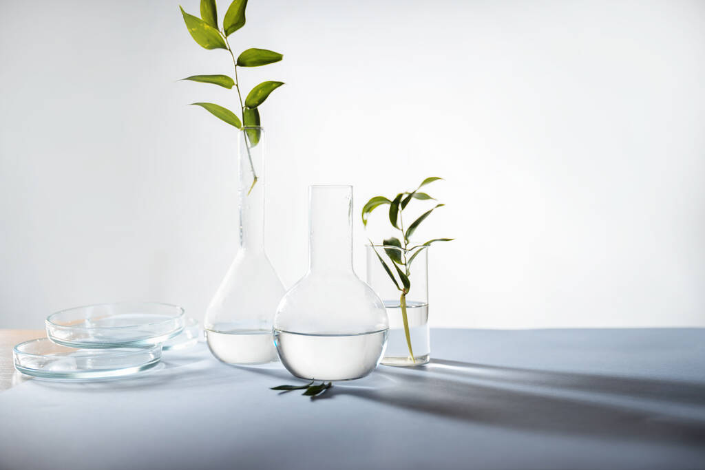 Plantas de folha verde em um frasco de laboratório, produtos ecológicos em cosmetologia, conceito. - Foto, Imagem