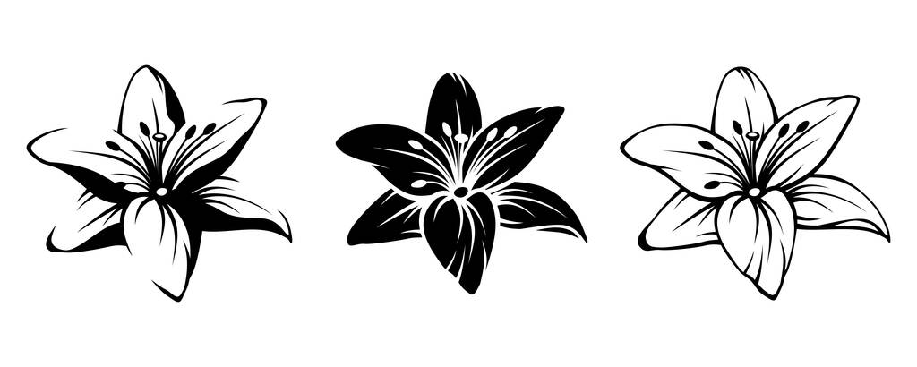 白い背景に孤立したユリの花の黒いシルエットのベクトルセット. - ベクター画像