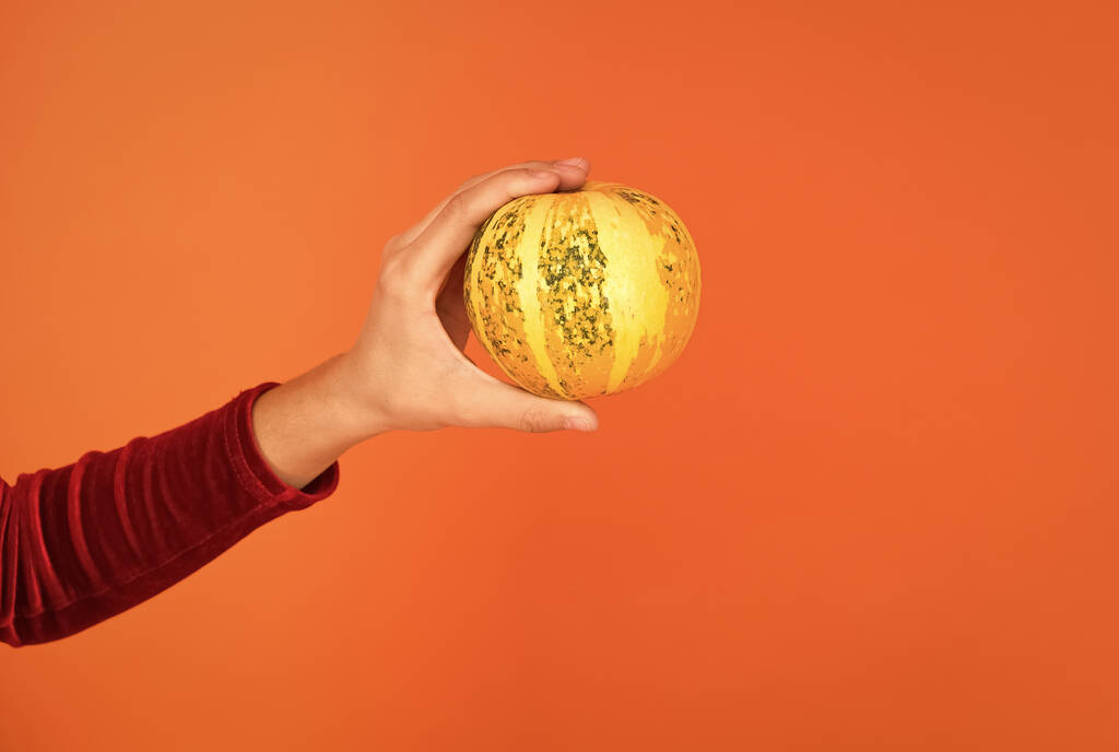 calabaza de Halloween en la mano del niño creando Jack o linterna para las vacaciones sobre fondo naranja, feliz halloween - Foto, imagen