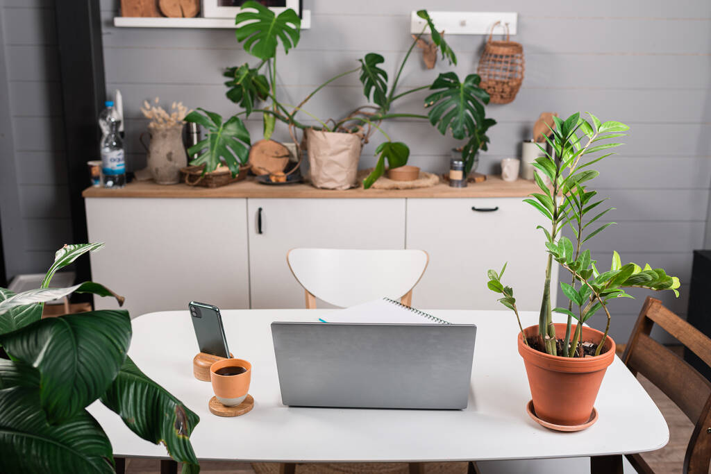 Comfortable workplace at home with laptop - Photo, Image
