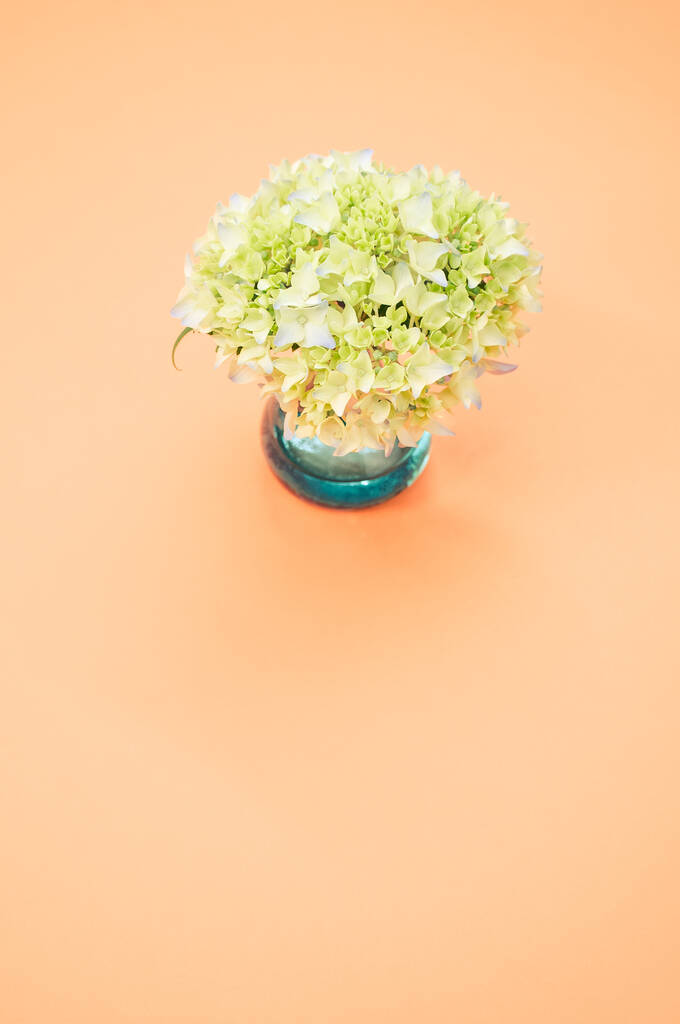 Egy függőleges lövés francia hortenzia bimbók egy vázában egy narancssárga felületen helyet a szöveges - Fotó, kép