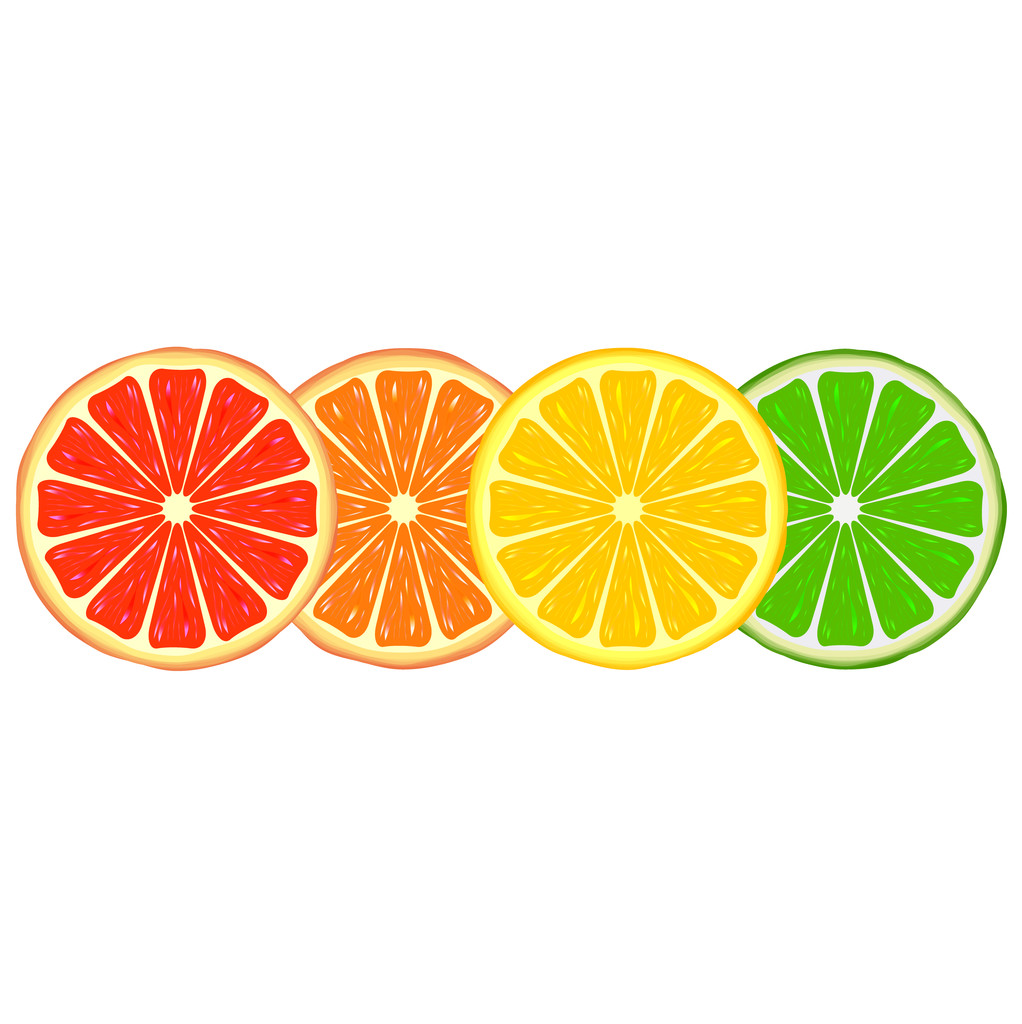 citrinos - Vetor, Imagem