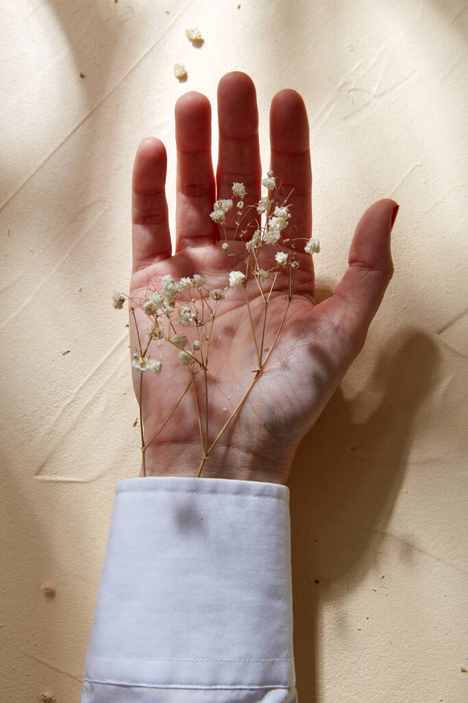 mão com babys secos flores respiração em punho - Foto, Imagem