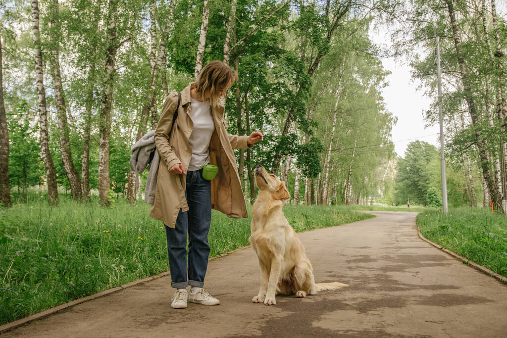 La chica anfitriona camina en el parque con su perro golden retriever - Foto, Imagen
