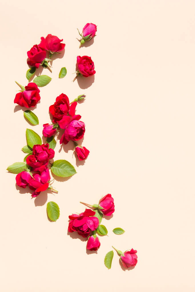 Плоский простір, копіювання. Літня композиція з трояндами і листям
 - Фото, зображення