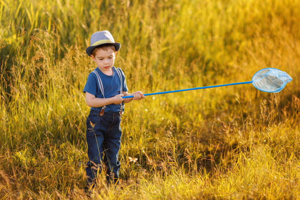 niño captura mariposas con red en el prado - Foto, imagen