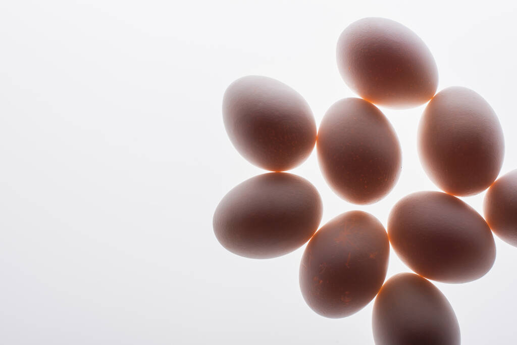 vue du bas des œufs crus et biologiques isolés sur blanc - Photo, image