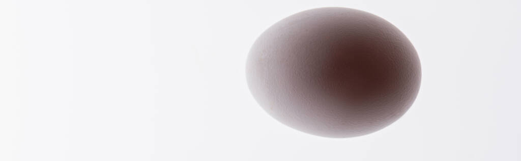 bottom view of uncooked and organic egg isolated on white, banner - Photo, Image