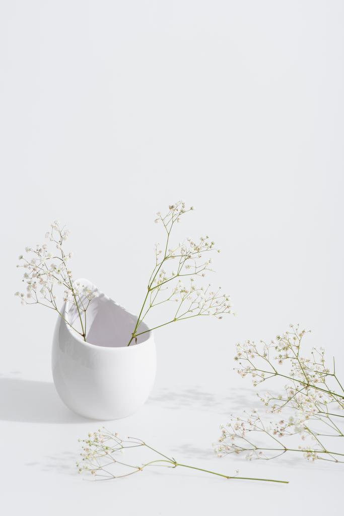takken met bloeiende bloemen in vaas op witte achtergrond - Foto, afbeelding