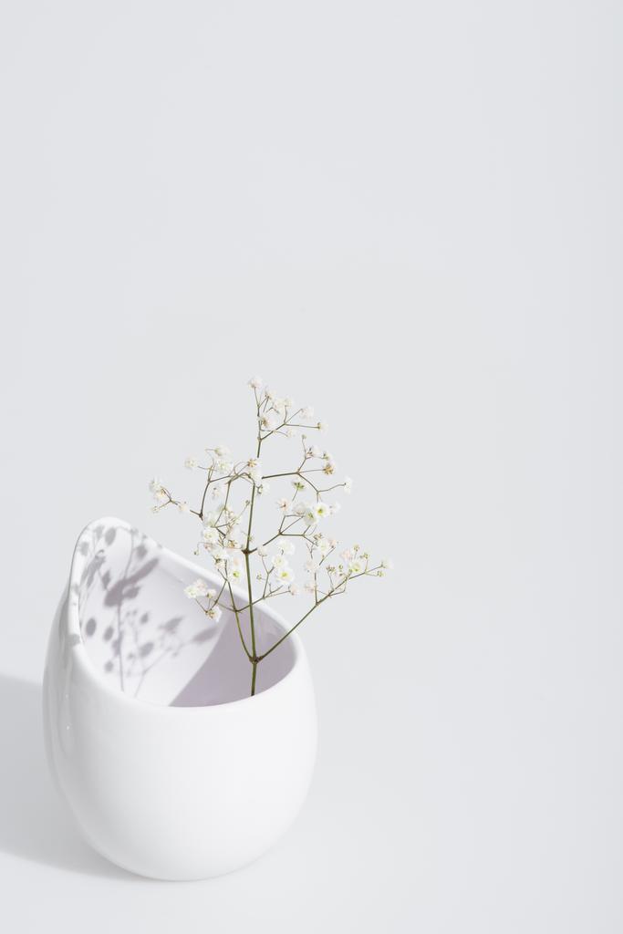 tak met bloeiende bloemen in vaas op witte achtergrond - Foto, afbeelding