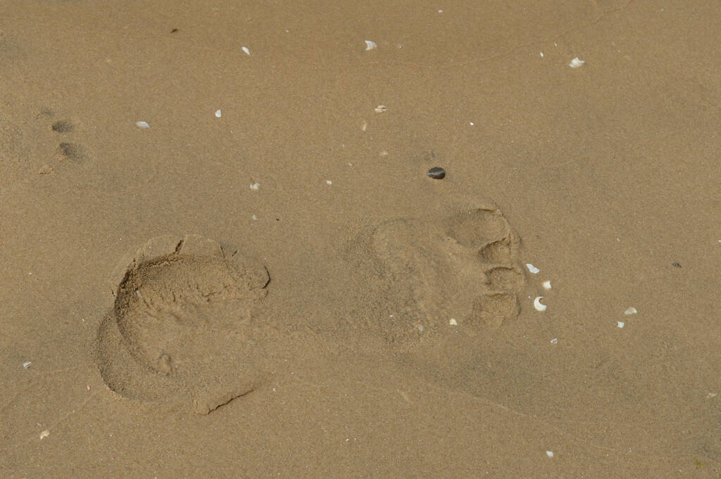 Отпечаток ноги, снятый на мокром песке перед тем, как приплыть, чтобы смыть его.. - Фото, изображение