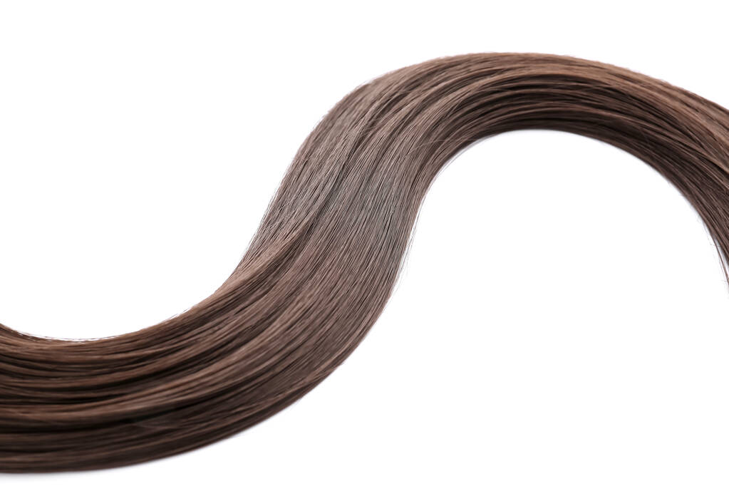 Brin de cheveux bruns sur fond blanc - Photo, image