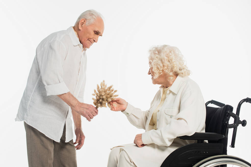 homme âgé présentant des fleurs séchées à la femme en fauteuil roulant isolé sur blanc - Photo, image