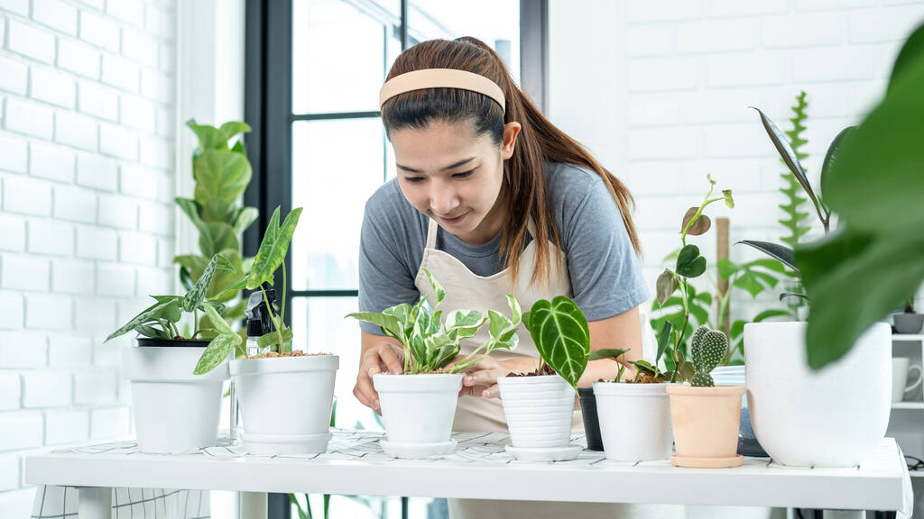 Mujer asiática jardinero en ropa casual, el cuidado de las plantas después de trasplantar la planta en una olla nueva en la habitación en casa, mientras que la actividad hobby, Concepto de jardín en casa - Foto, imagen