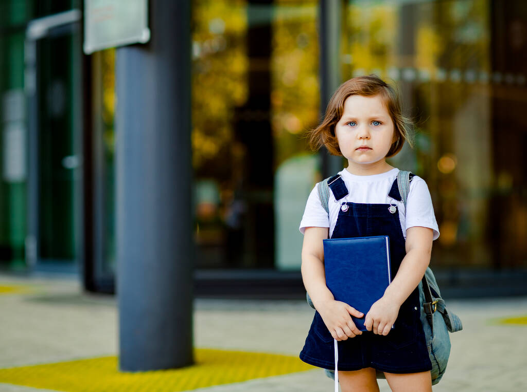 Güzel bir beyaz kız, bir liseli kız, okulun yanında duruyor, sırt çantası ve elinde bir günlükle. - Fotoğraf, Görsel