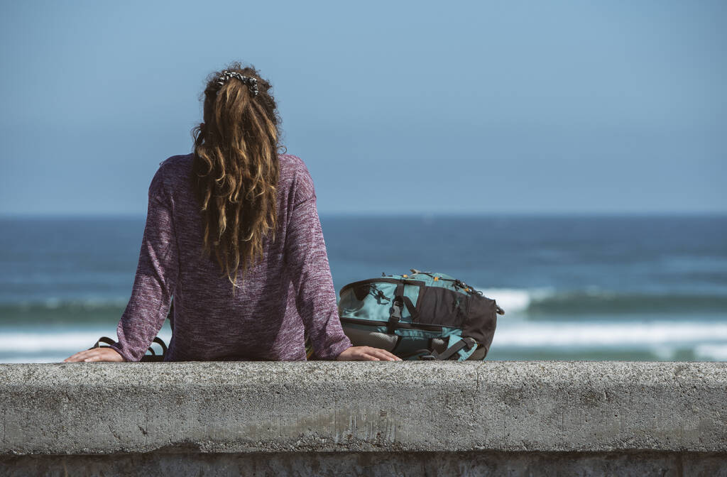 Una vista trasera de una joven morena sentada en la valla de piedra junto al mar en un día soleado - Foto, imagen
