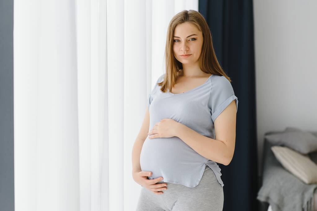 Young beautiful pregnant woman standing at home near the window. - Photo, Image