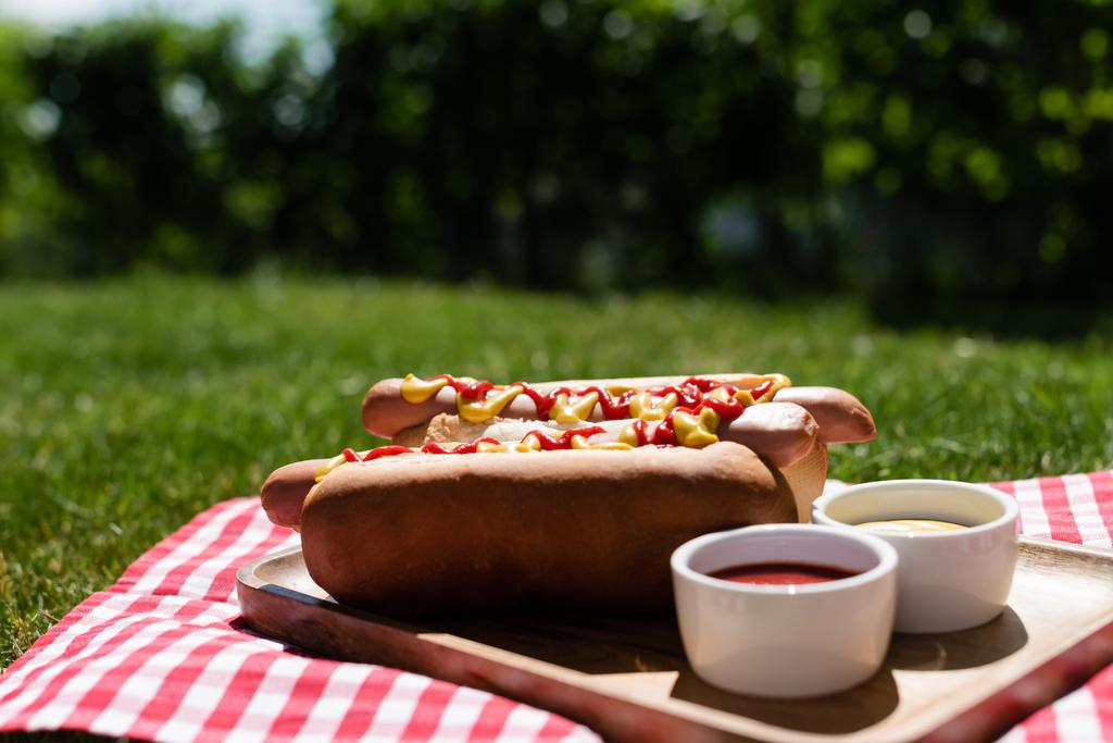 delicious hot dogs near bowls with sauces and plaid table napkin on green lawn - Photo, Image