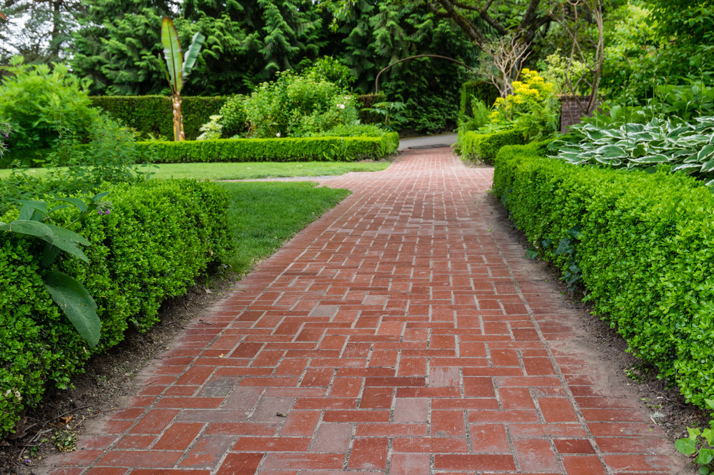 Chemins de briques à travers un jardin
 - Photo, image
