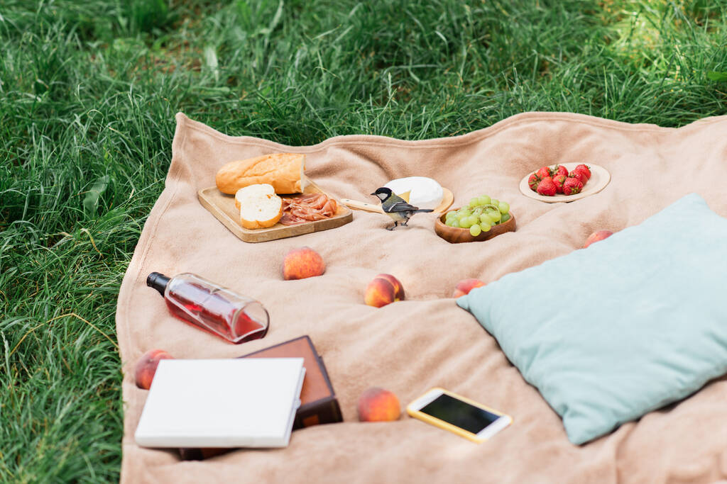 Meisenvogel in der Nähe von leckerem Essen und einer Flasche Wein auf Picknickdecke  - Foto, Bild