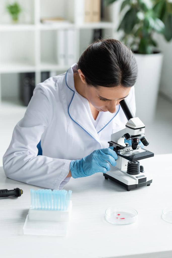 Naukowiec w rękawiczkach lateksowych z użyciem mikroskopu w pobliżu płytek Petriego i probówek  - Zdjęcie, obraz